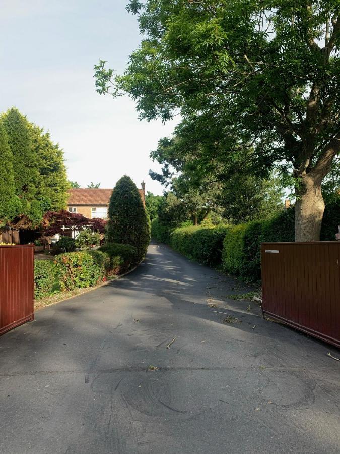 Ashfield Bed & Breakfast Belfast Bagian luar foto