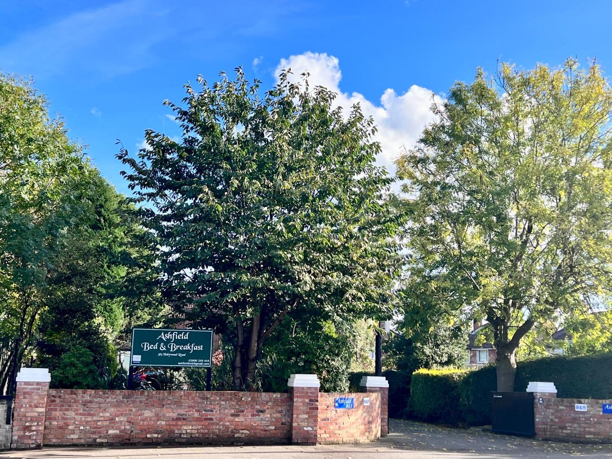 Ashfield Bed & Breakfast Belfast Bagian luar foto