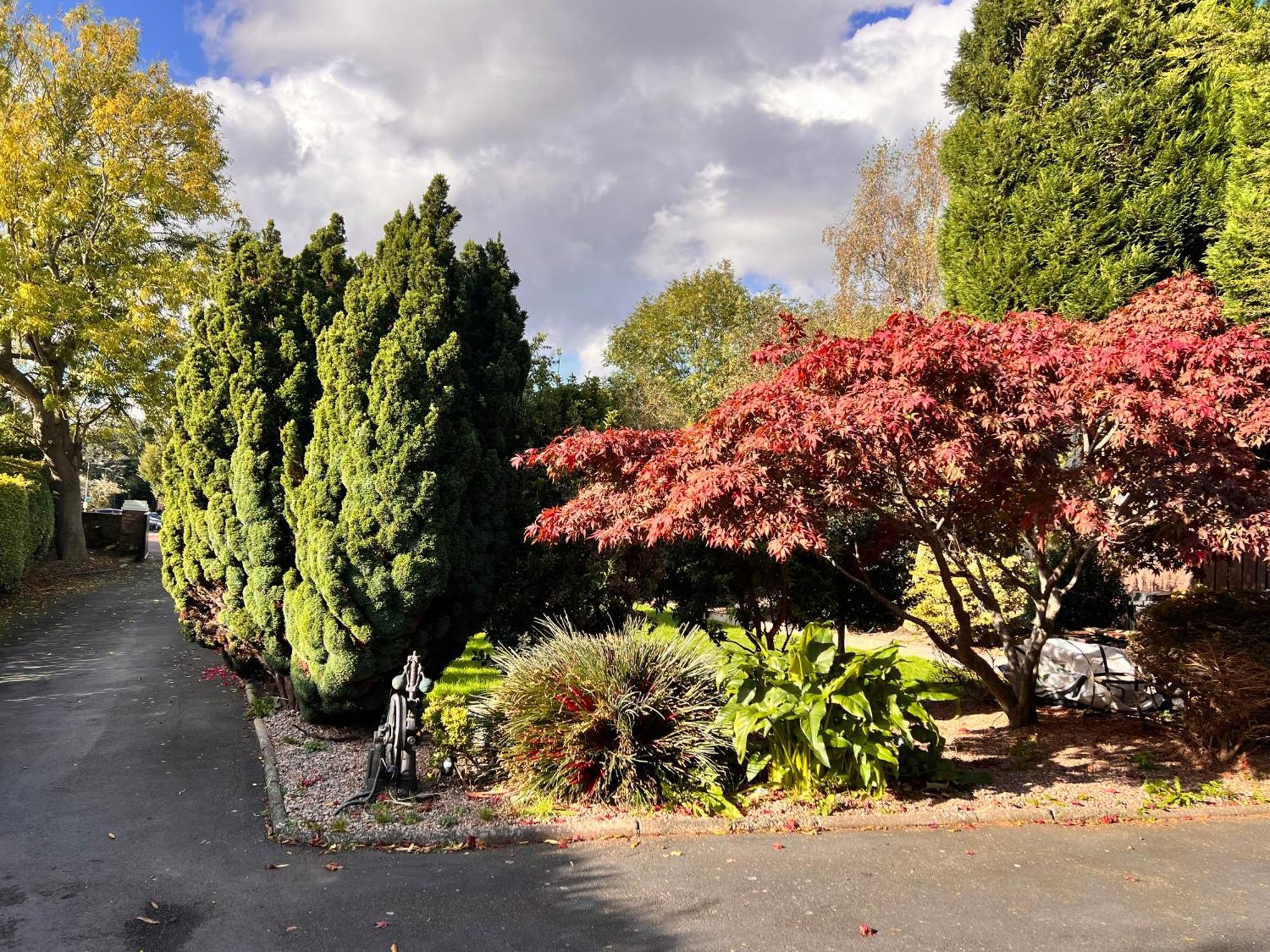 Ashfield Bed & Breakfast Belfast Bagian luar foto