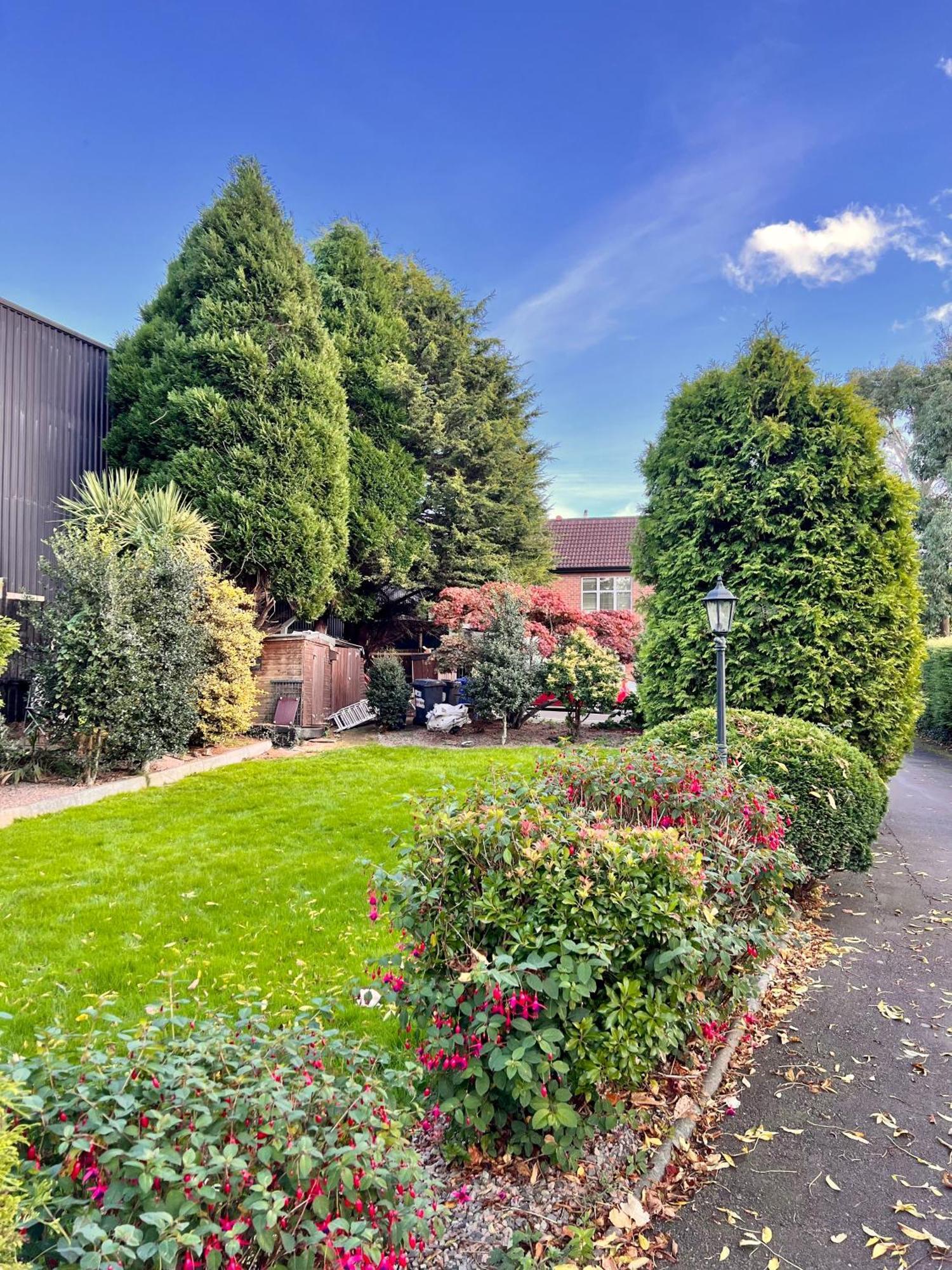 Ashfield Bed & Breakfast Belfast Bagian luar foto