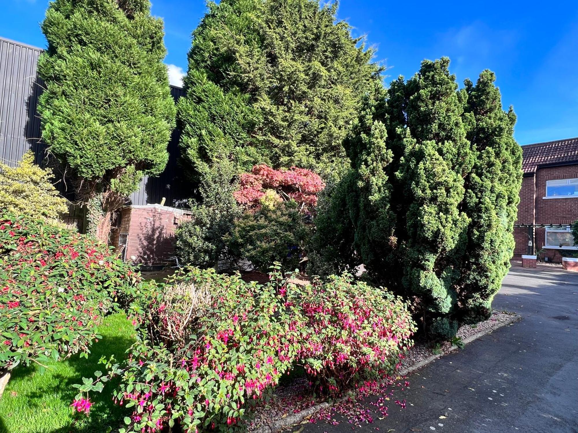 Ashfield Bed & Breakfast Belfast Bagian luar foto
