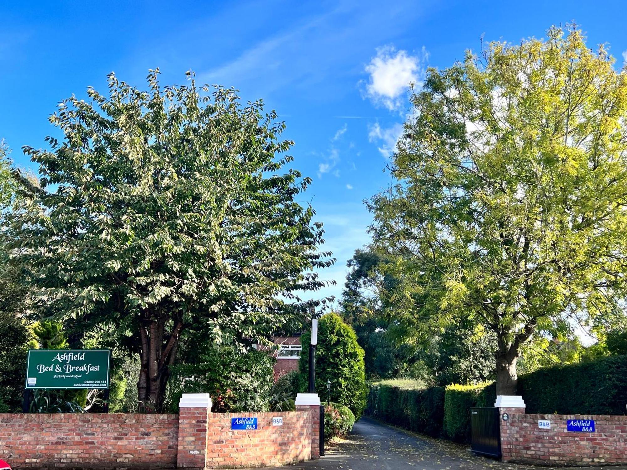 Ashfield Bed & Breakfast Belfast Bagian luar foto